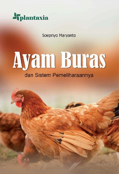 Ayam Buras dan Sistem Pemeliharaannya