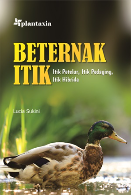Beternak Itik; Itik Petelur, Itik Pedaging, Itik Hibrida