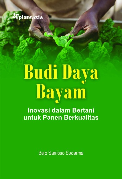 Budi Daya Bayam; Inovasi dalam Bertani untuk Panen Berkualitas