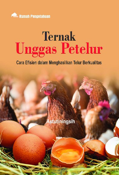 Ternak Unggas Petelur; Cara Efisien dalam Menghasilkan Telur Berkualitas