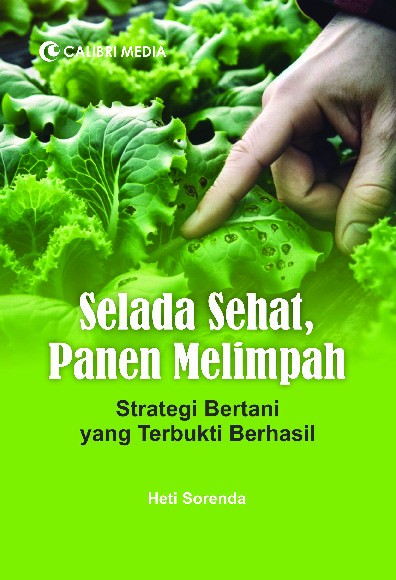 Selada Sehat, Panen Melimpah; Strategi Bertani yang Terbukti Berhasil