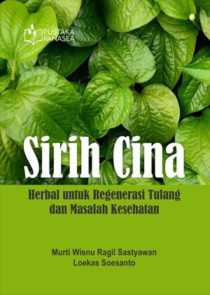 Sirih Cina; Herbal untuk Regenerasi Tulang dan Masalah Kesehatan