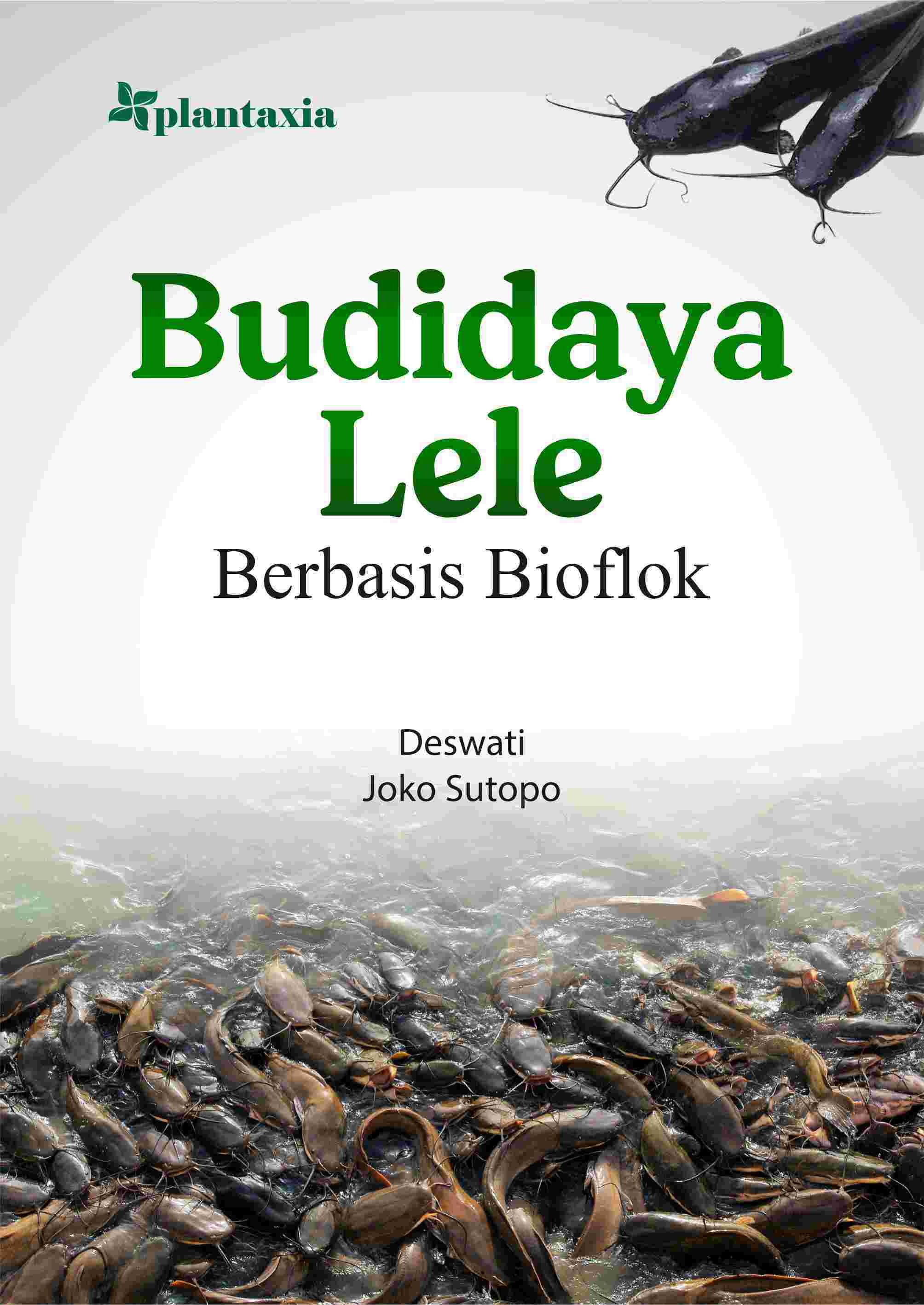 Budidaya Lele Berbasis Bioflok